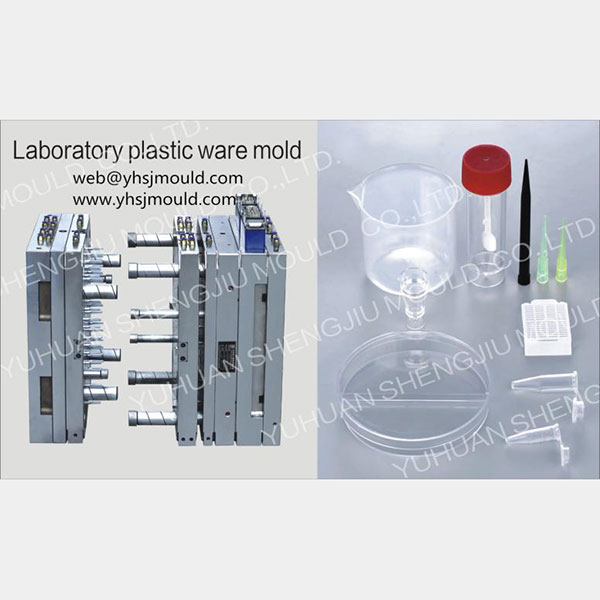 Laboratory Plastic Ware Mold